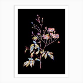 Stained Glass Pink Noisette Roses Mosaic Botanical Illustration on Black n.0226 Art Print