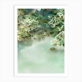 Acropora Spathulata Storybook Watercolour Art Print