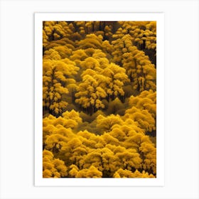 Yellow Trees Art Print