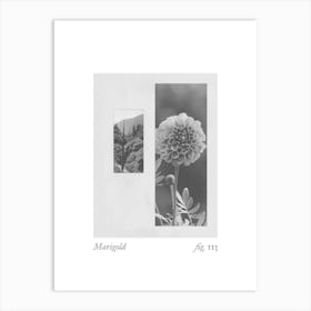 Marigold Botanical Collage 3 Art Print