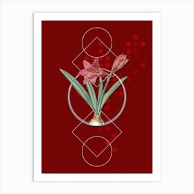 Vintage Hippeastrum Botanical with Geometric Line Motif and Dot Pattern n.0071 Art Print