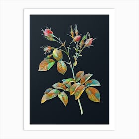 Vintage Evrat's Rose with Crimson Buds Botanical Watercolor Illustration on Dark Teal Blue n.0342 Art Print