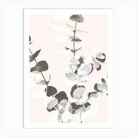 Eucalyptus Leaves_2061447 Art Print