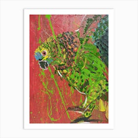 Parrot Art Print