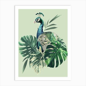 Peacock With Leaves Art Print