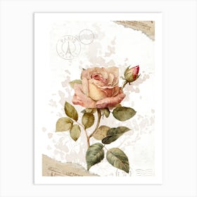 Vintage Rose Art Print