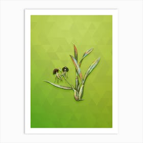 Vintage Clamshell Orchid Botanical Art on Love Bird Green n.0116 Art Print