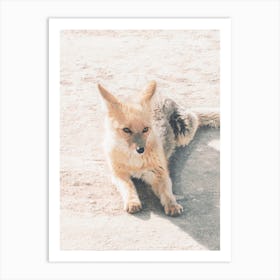Desert Fox Art Print