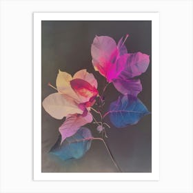 Iridescent Flower Bougainvillea 3 Art Print