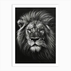 African Lion Charcoal Drawing Portrait Close Up 2 Art Print