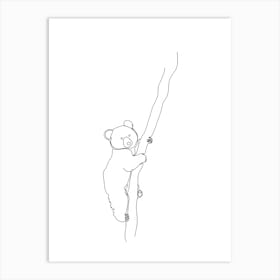 Koala Bear Art Print