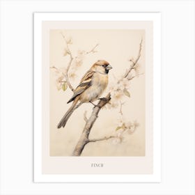 Vintage Bird Drawing Finch 1 Poster Art Print