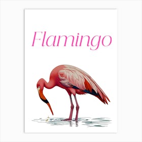 Flamingo 2 Art Print