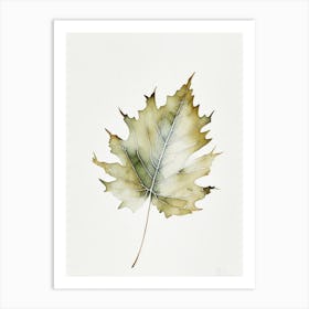 White Oak Leaf Minimalist Watercolour 2 Art Print