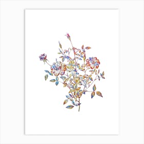 Stained Glass Dwarf Rosebush Mosaic Botanical Illustration on White n.0268 Art Print