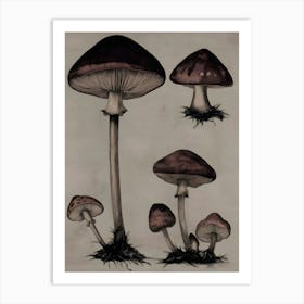 Mushroom Drawing Art Print