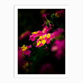 Flowers In The Dark Art Print