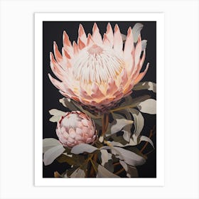 Flower Illustration Protea 11 Art Print