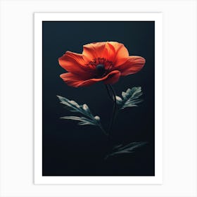 Poppies 109 Art Print