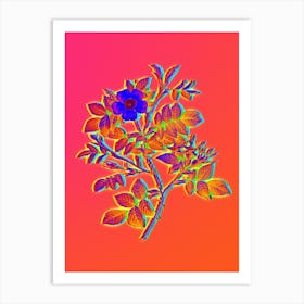 Neon Malmedy Rose Botanical in Hot Pink and Electric Blue n.0403 Art Print