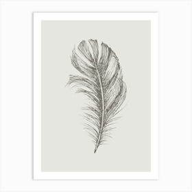 Grey Feather Print 3 Art Print