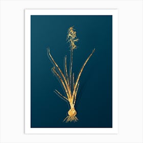 Vintage Hyacinthus Viridis Botanical in Gold on Teal Blue Art Print