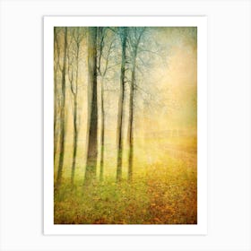 Woodland Edge Art Print