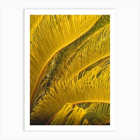 Yellow Palm Leaves Art Print