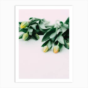 Tulips 1 Art Print