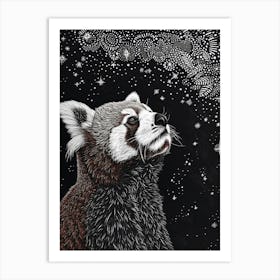 Red Panda Looking At A Starry Sky Ink Illustration 3 Art Print