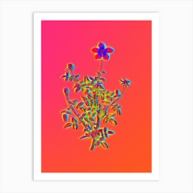 Neon Single Dwarf Chinese Rose Botanical in Hot Pink and Electric Blue n.0573 Art Print