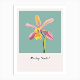 Monkey Orchid 1 Square Flower Illustration Poster Art Print