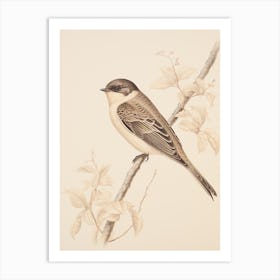 Vintage Bird Drawing Swallow 2 Art Print