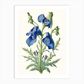 Bellflower Wildflower Vintage Botanical Art Print