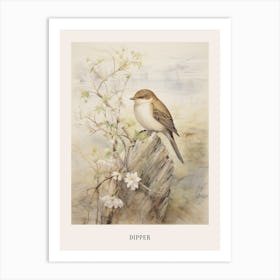 Vintage Bird Drawing Dipper 3 Poster Art Print