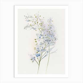 Baby's Breath Wildflower Watercolour 1 Art Print