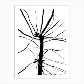 Bare Tree Art Print Art Print