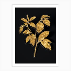 Vintage Papaw Tree Branch Botanical in Gold on Black n.0561 Art Print