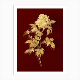 Vintage White Anjou Roses Botanical in Gold on Red Art Print
