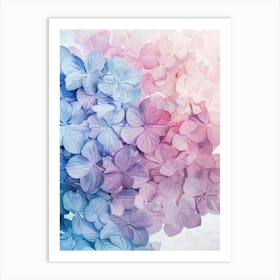 Hydrangeas 5 Art Print