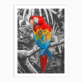 Macaw Parrot Art Print