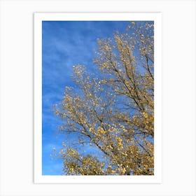 Autumn Tree Against Blue Sky Art Print