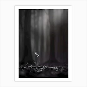 Lily Of The Valley 7 Art Print