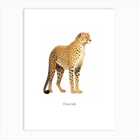 Cheetah Kids Animal Poster Art Print