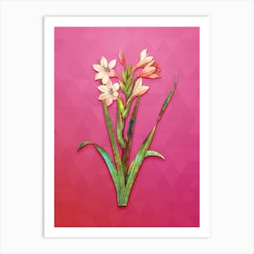 Vintage Gladiolus Saccatus Botanical Art on Beetroot Purple n.1513 Art Print