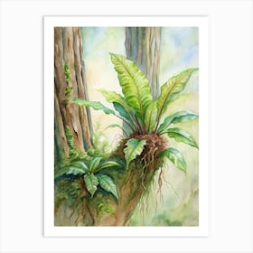 Ferns In The Forest 2 Art Print