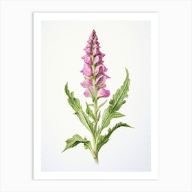 Foxglove Flower Vintage Botanical 1 Art Print