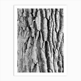 Black And White Tree Bark Art Print