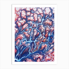 Coral Sea Art Print
