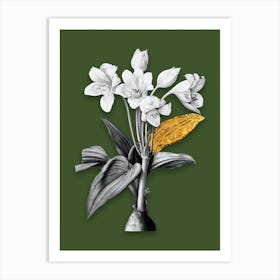 Vintage Crinum Giganteum Black and White Gold Leaf Floral Art on Olive Green Art Print